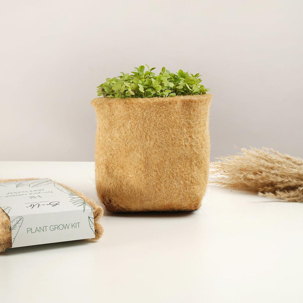Plant Grow Kit